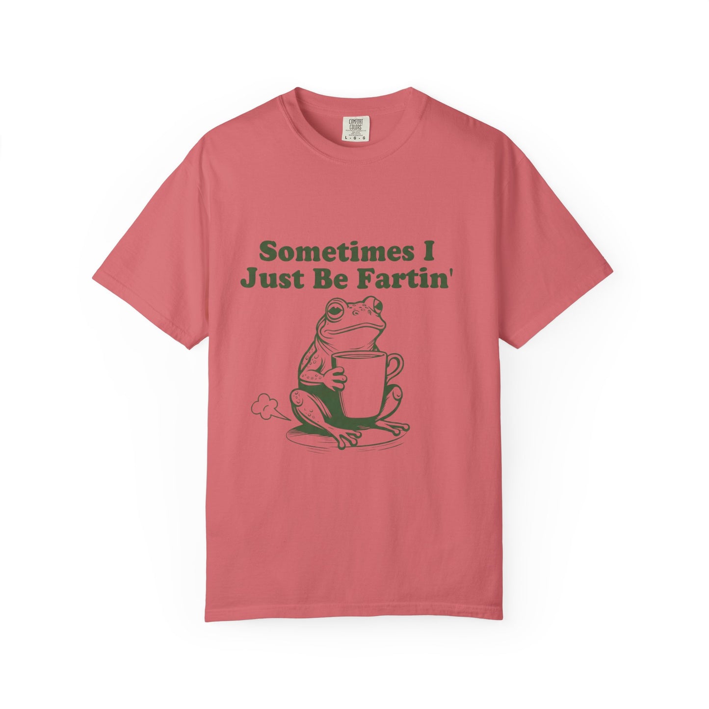 Funny 'Sometimes I Just Be Fartin' Frog T-Shirt | Relatable IBS Meme Tee | Comfort Colors® 1717