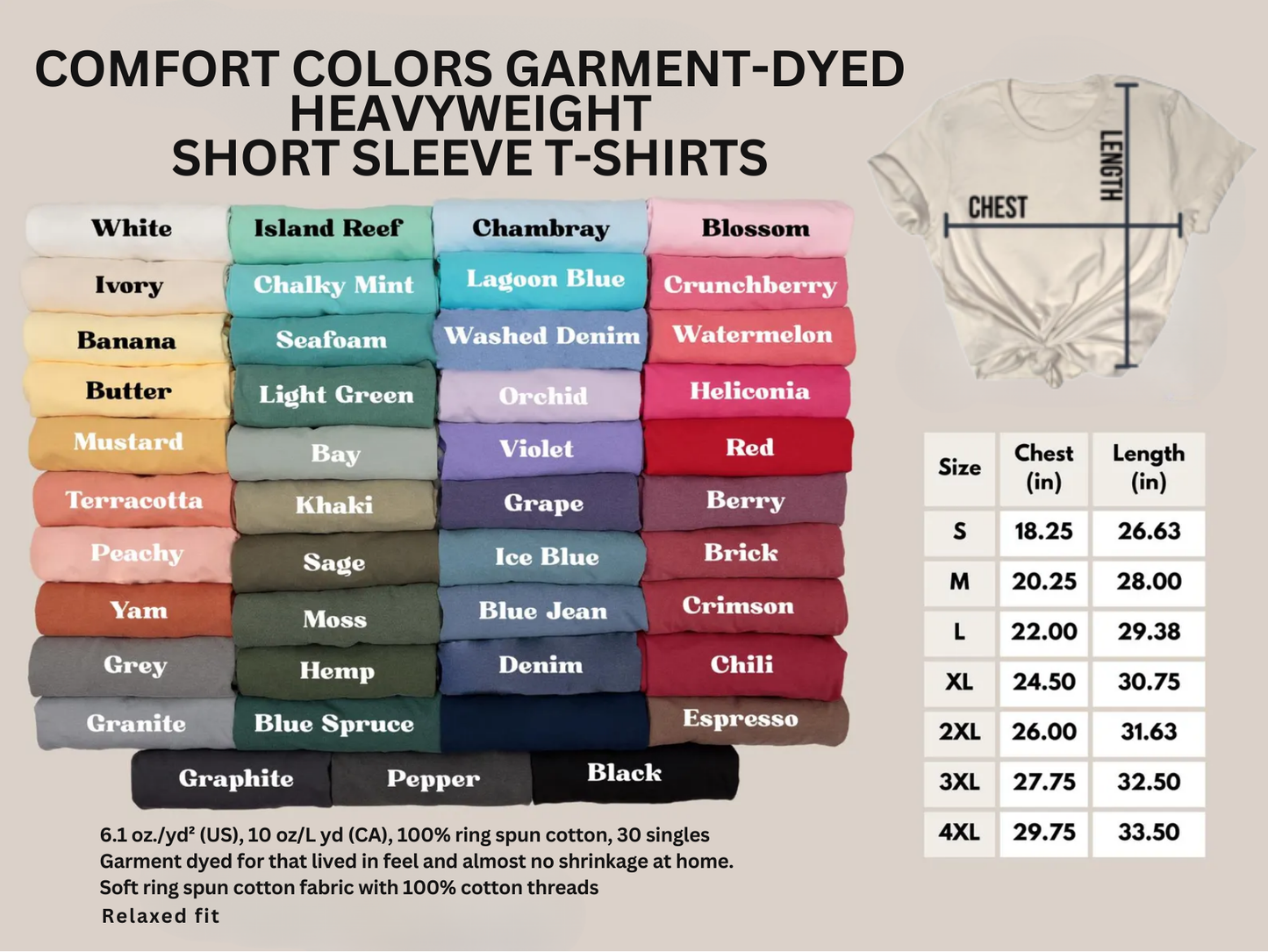 90s Nostalgia T-Shirt Boy Bands Burned CDs Graphic Comfort Colors 1717 Millennial Tee